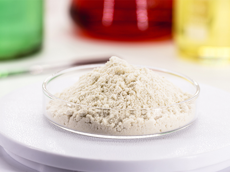 Laboratory Electronic Balance 