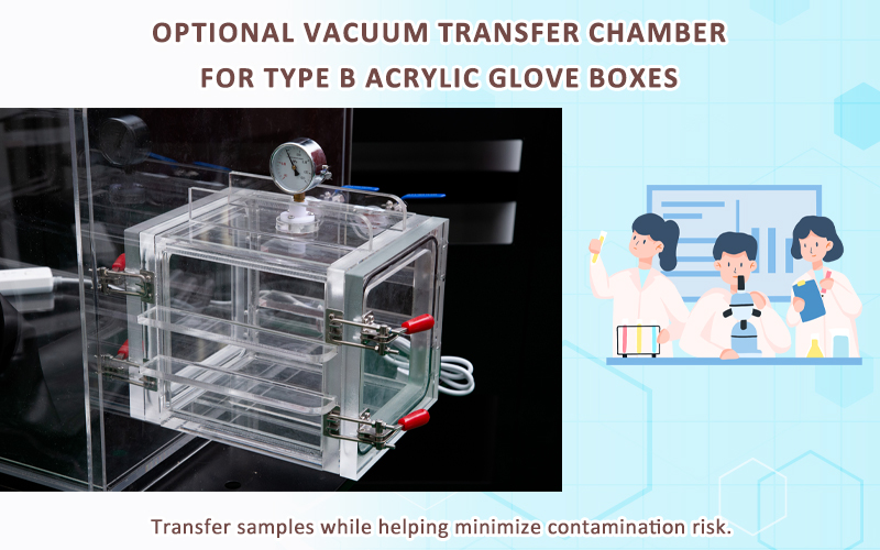 Acrylic Glove Box Transfer Chamber