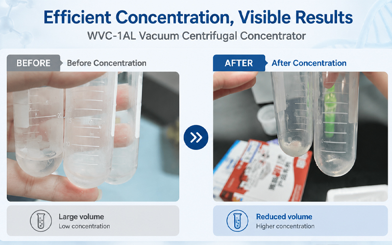 Comparison of protein and peptide samples before and after concentration Comparison of protein and peptide samples before and after concentration
